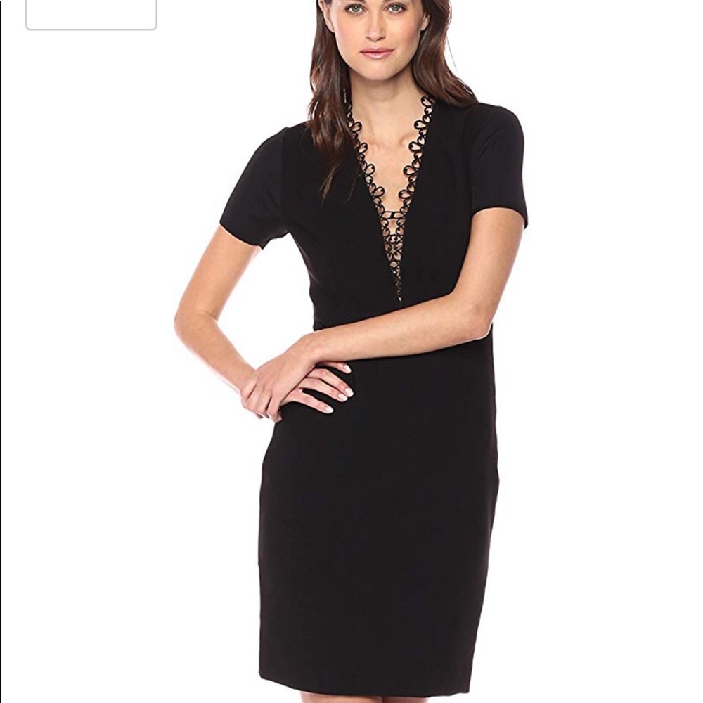 Elite Tahari deep V dress